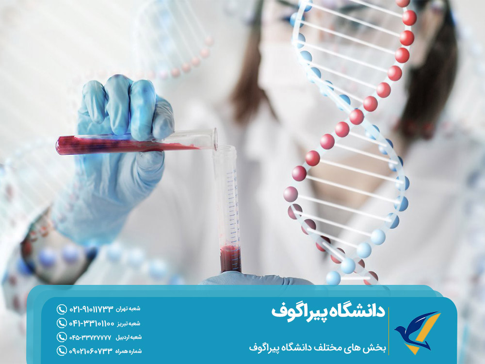 بخش های مختلف دانشگاه پیراگوف