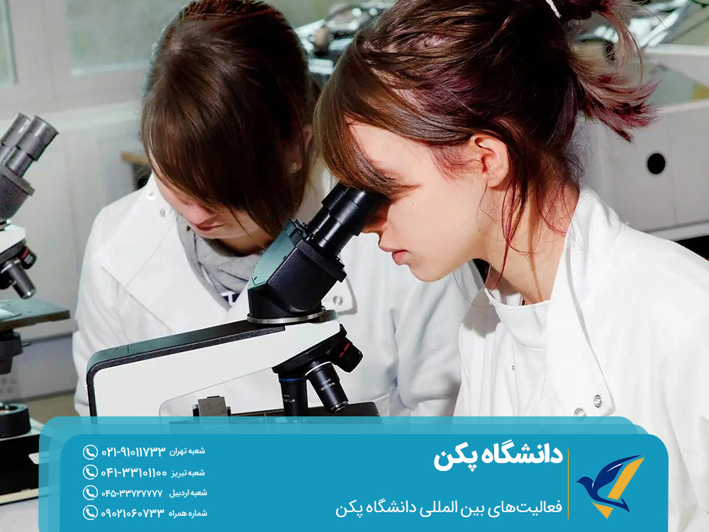 فعالیت های بینالمللی
