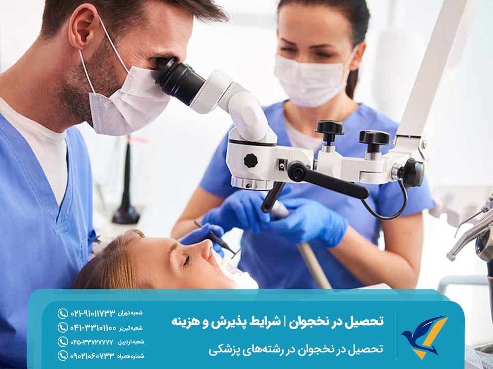 Studying in Nakhchivan in medical fields