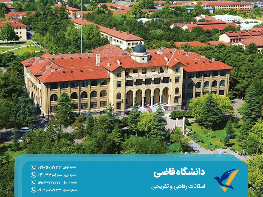 Amenities and entertainment