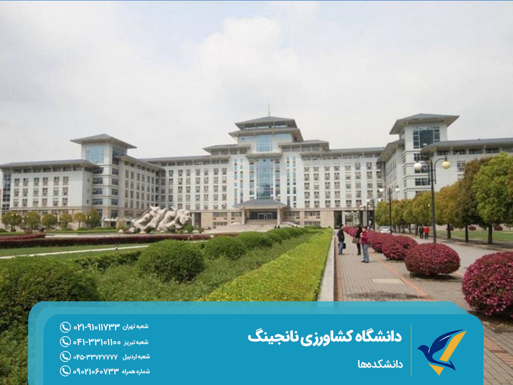 University faculties