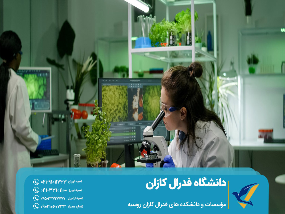 دانشکده های دانشگاه فدرال کازان