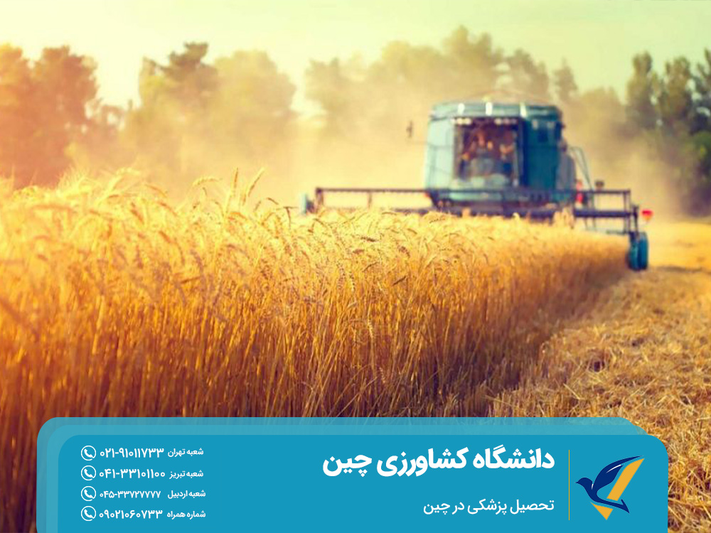 دانشگاه کشاورزی چین