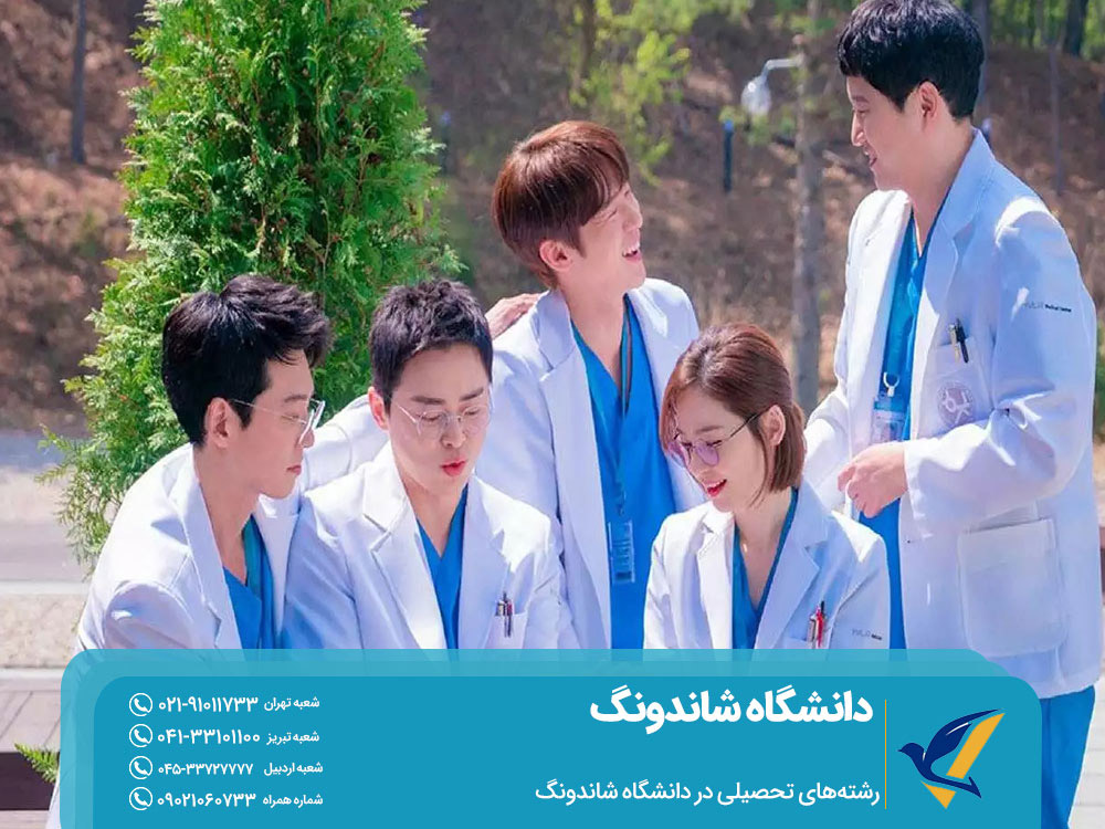 رشته‌های تحصیلی در دانشگاه شاندونگ چین
