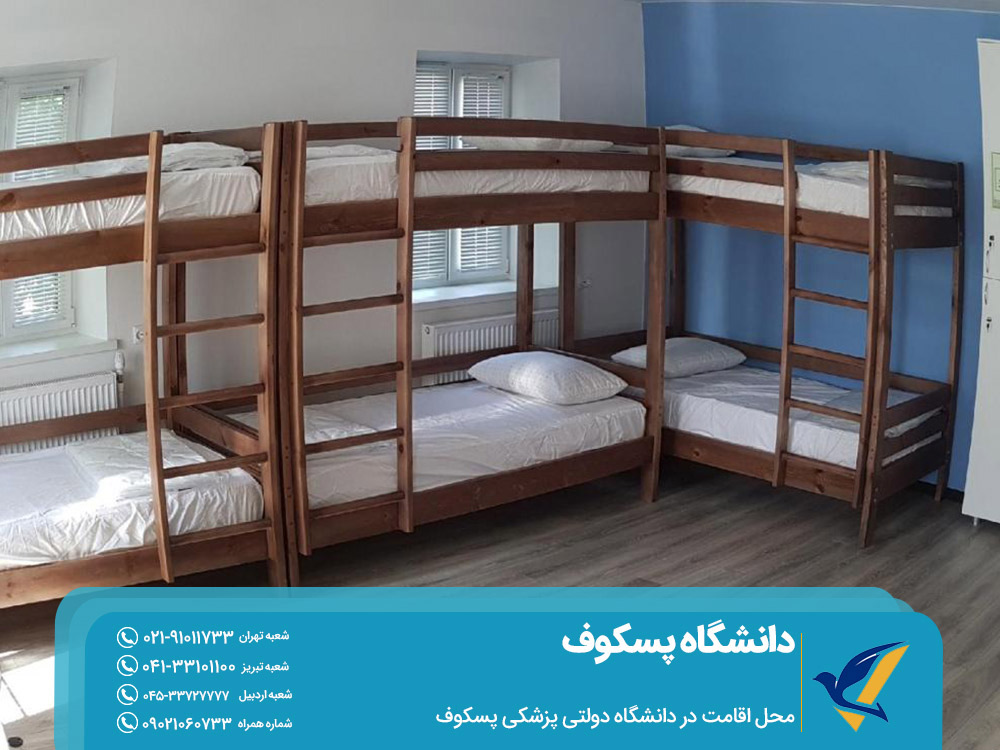 تحصیل در دانشگاه پسکوف روسیه