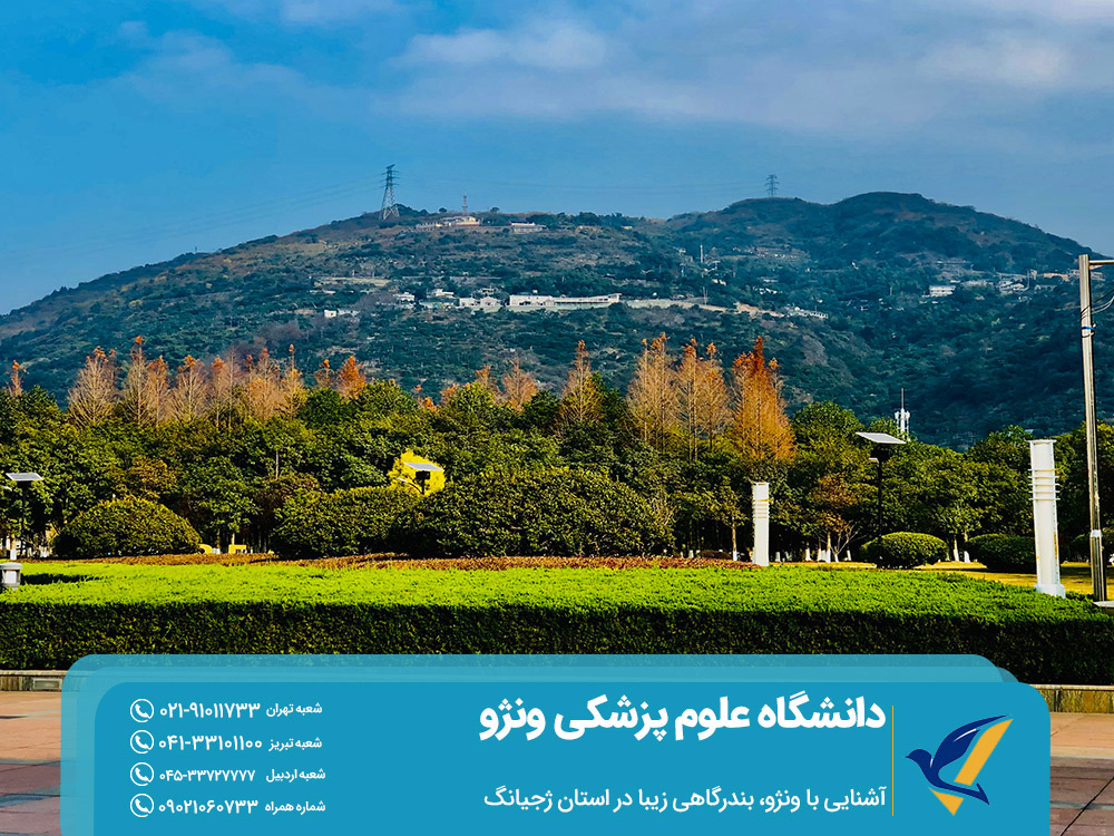 تحصیل در چین