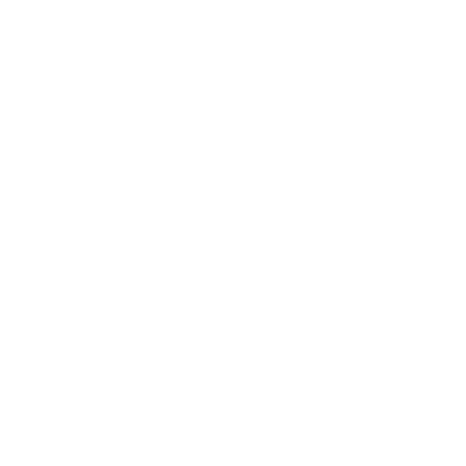 ElmeVira Logo White