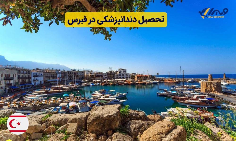 تحصیل دندانپزشکی در قبرس