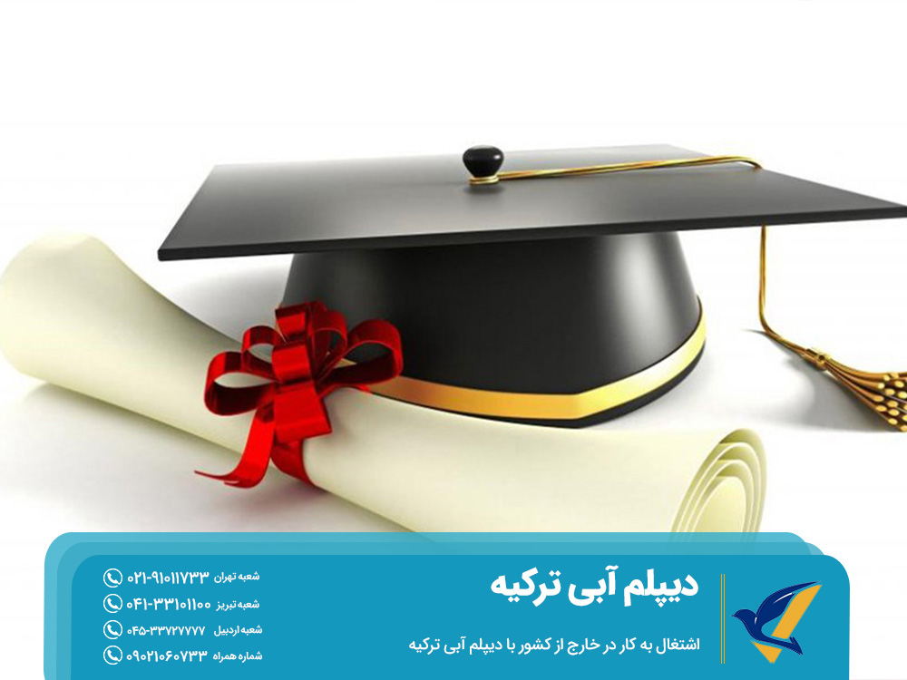 اشتغال به کار در خارج از کشور با دیپلم آبی ترکیه