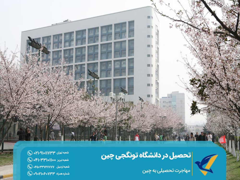 طول دوره تحصیل در دانشگاه تونگجی چین