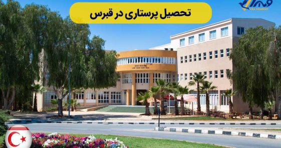 Nursing Studies in Cyprus
