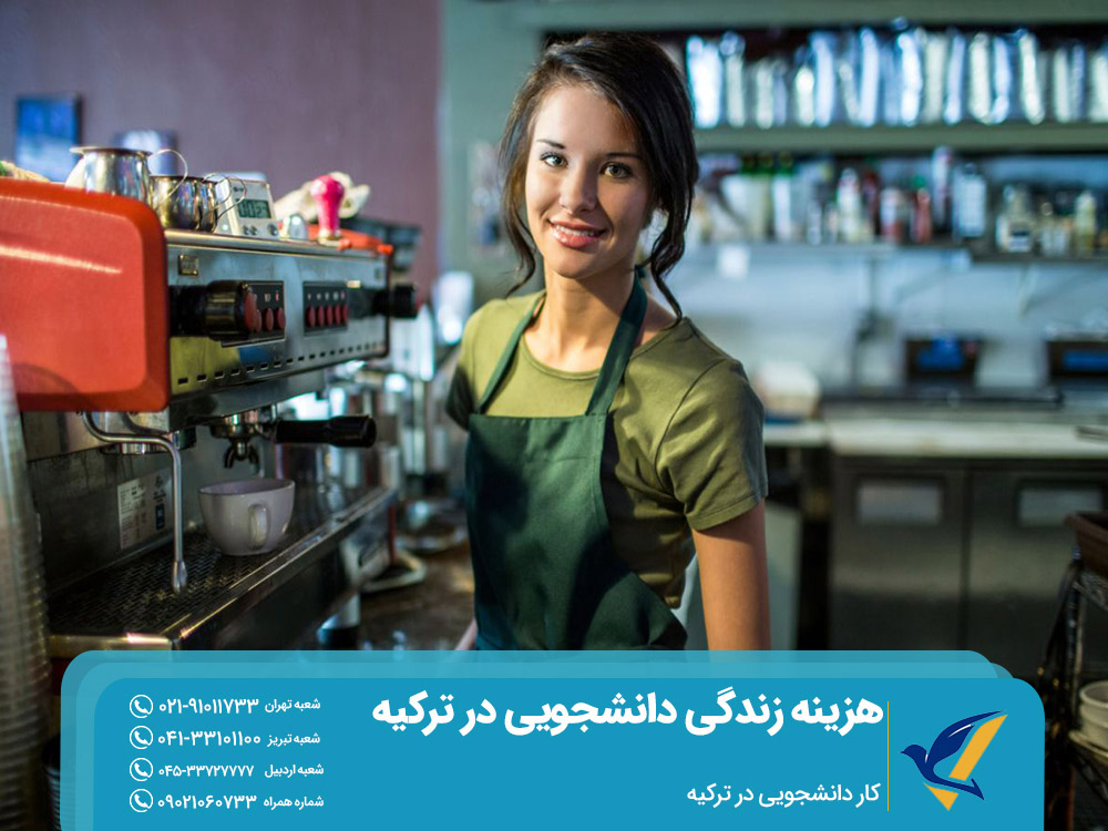 کار دانشجویی در ترکیه