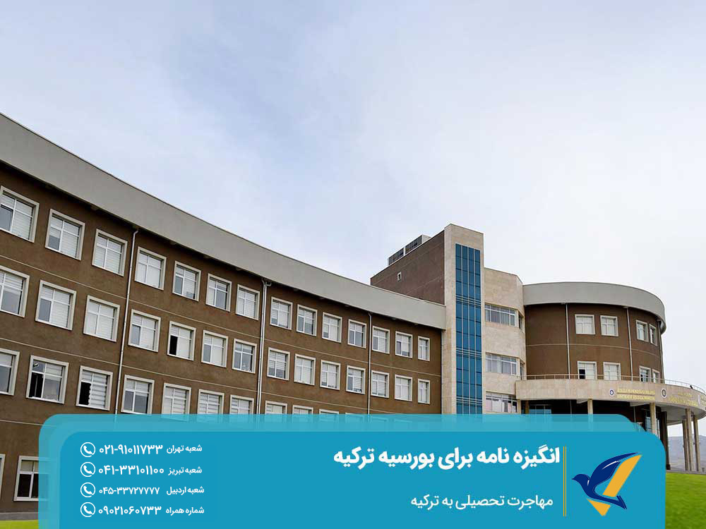 نگارش سابقه تحصیلی در انگیزه نامه برای بورسیه ترکیه