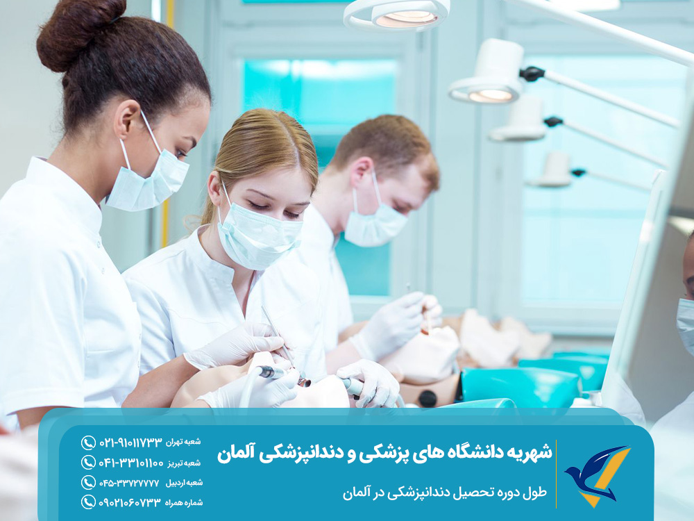 طول دوره تحصیل دندانپزشکی در آلمان