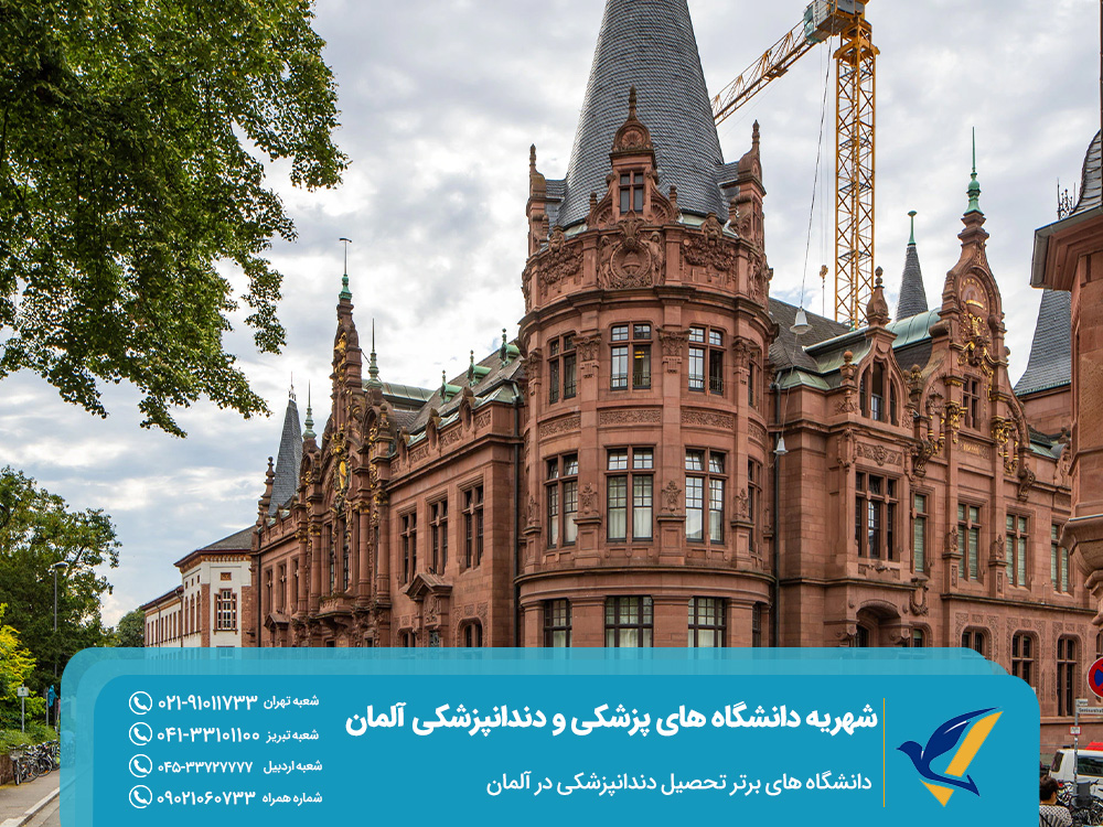 دانشگاه های برتر تحصیل دندانپزشکی در آلمان