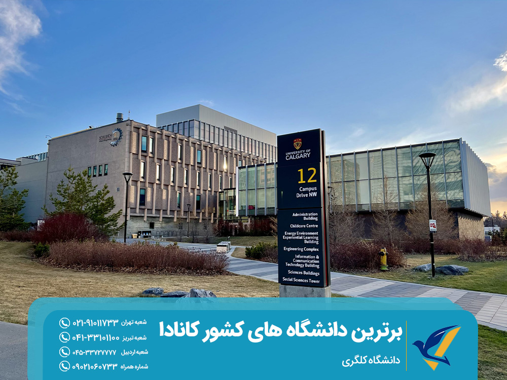 دانشگاه کلگری