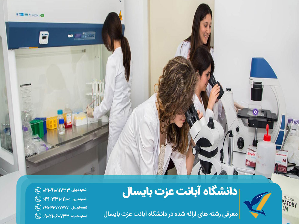 رشته های تحصیلی دانشگاه آبانت عزت بایسال