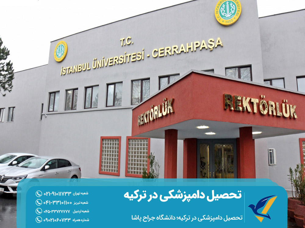 تحصیل دامپزشکی در دانشگاه جراح پاشا