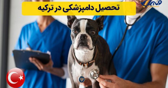 Veterinary Medicine in Turkey