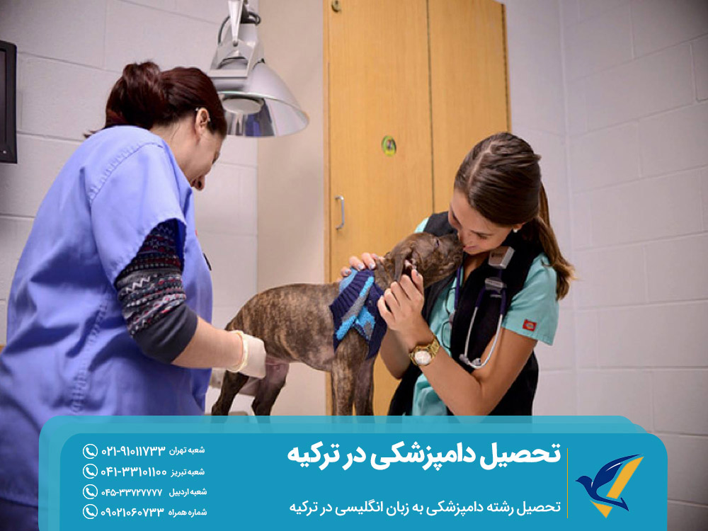 تحصیل دامپزشکی در ترکیه به زبان انگلیسی