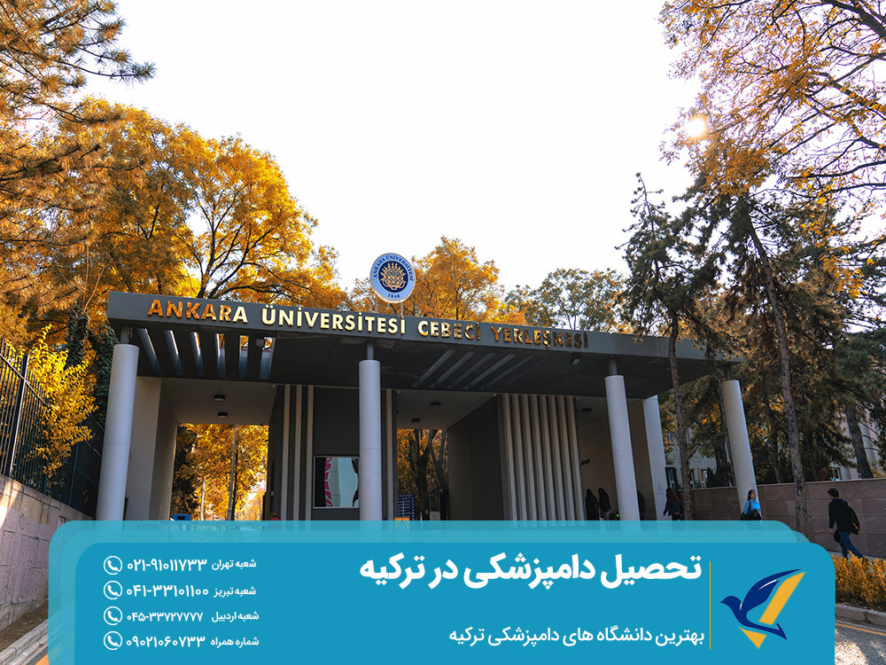 بهترین دانشگاه های تحصیل دامپزشکی در ترکیه