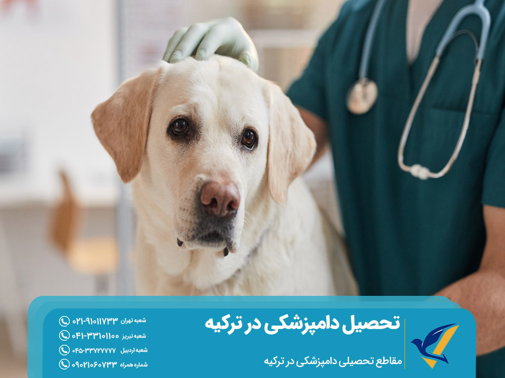 مقاطع تحصیلی دامپزشکی در ترکیه