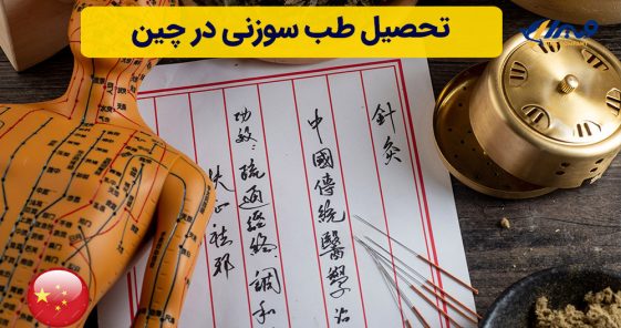Studying Acupuncture in China