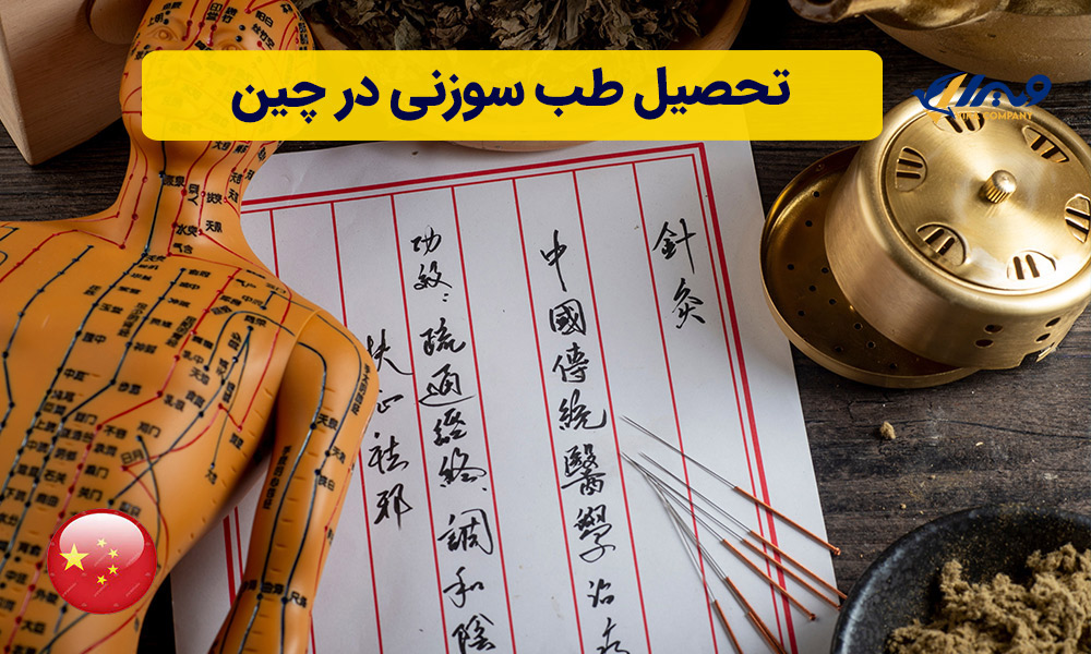 Studying Acupuncture in China