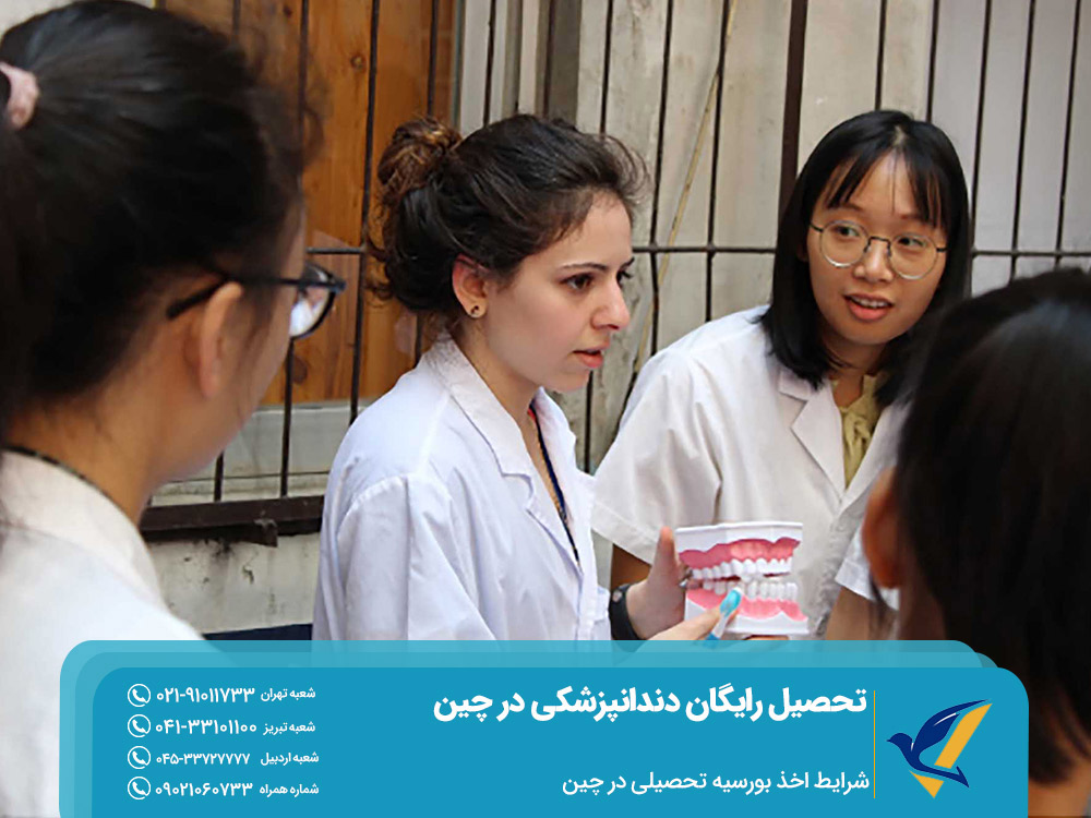 بورسیه تحصیلی برای تحصیل رایگان دندانپزشکی در چین