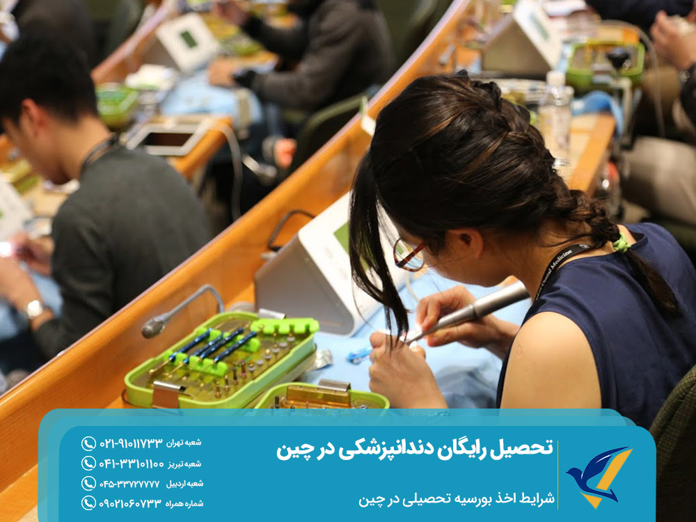 کار و اقامت بعد از تحصیل رایگان دندانپزشکی در چین