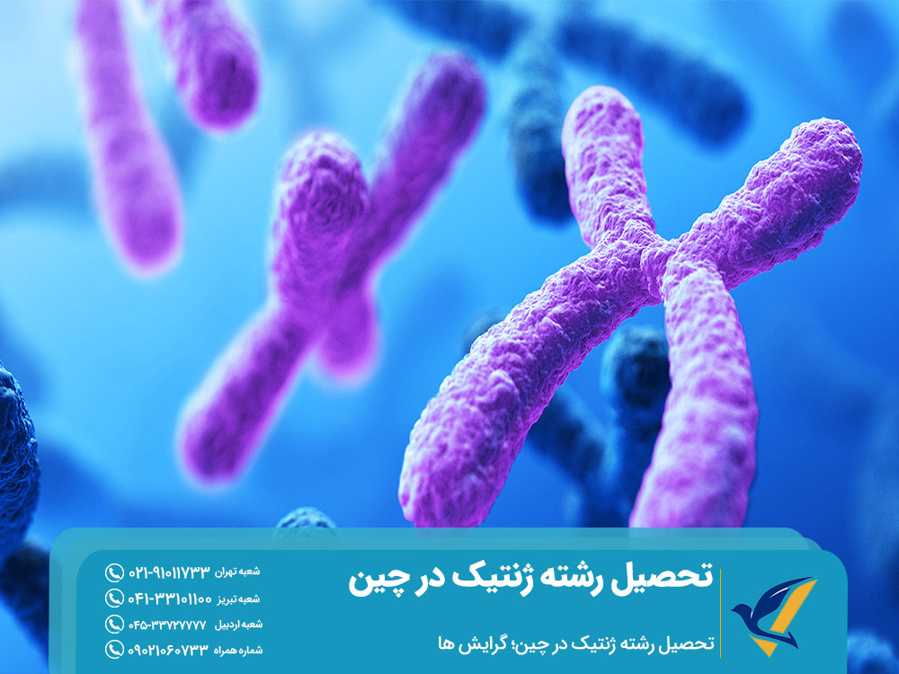 گرایش های مختلف رشته ژنتیک در چین