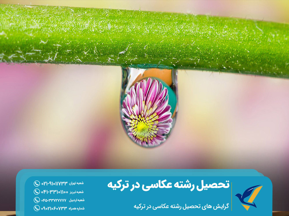 گرایش های تحصیل رشته عکاسی در ترکیه