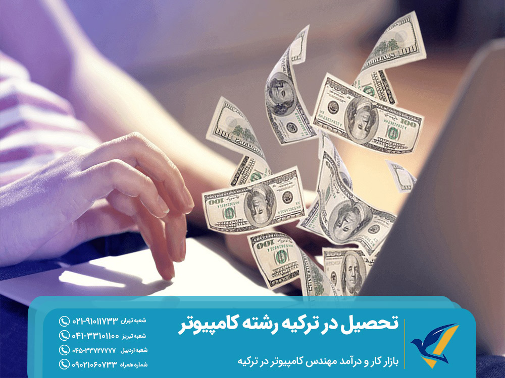 درآمد رشته مهندسی کامپیتر در ترکیه