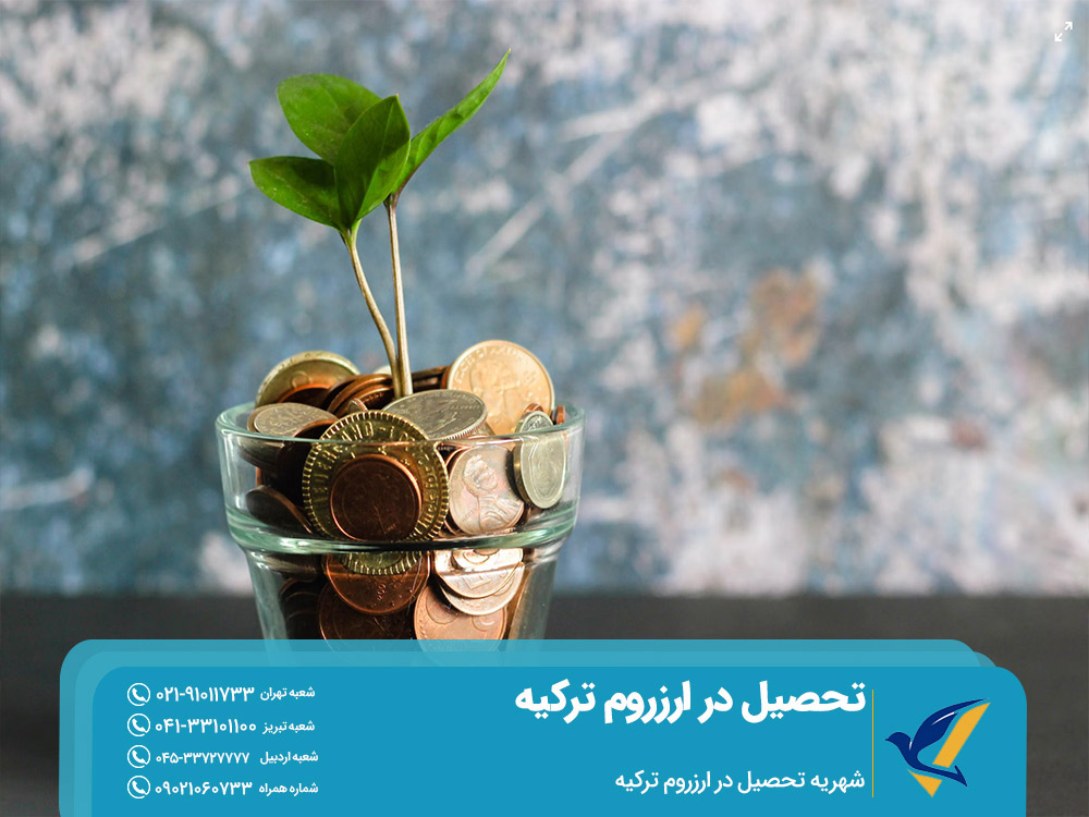 شهریه تحصیل در ارزروم ترکیه