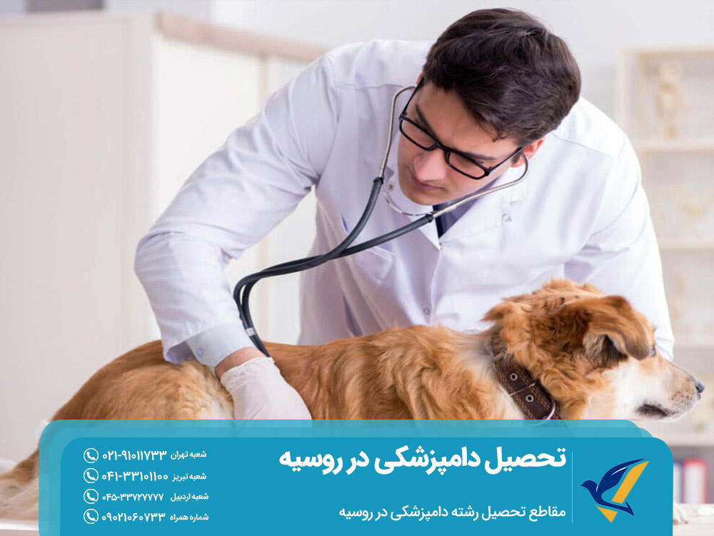مقاطع تحصیل دامپزشکی در روسیه