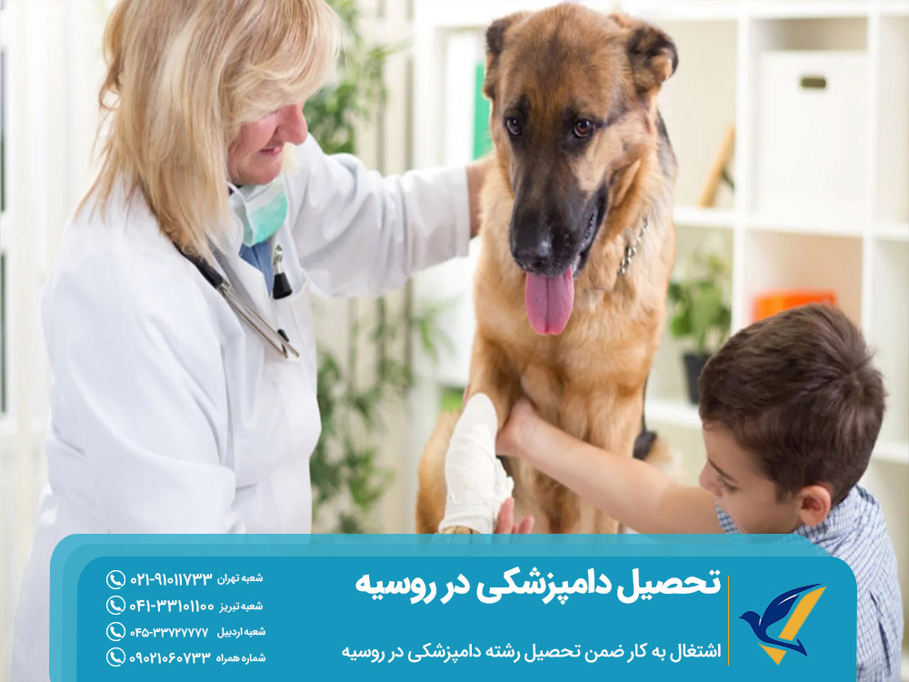 اشتغال به کار ضمن تحصیل دامپزشکی در روسیه
