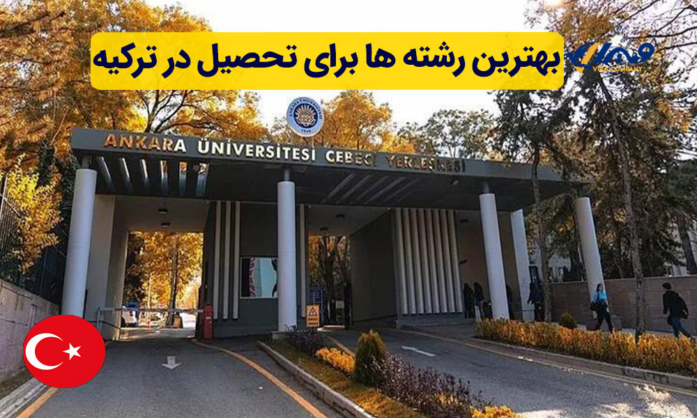 Best Majors for Studying in Turkey