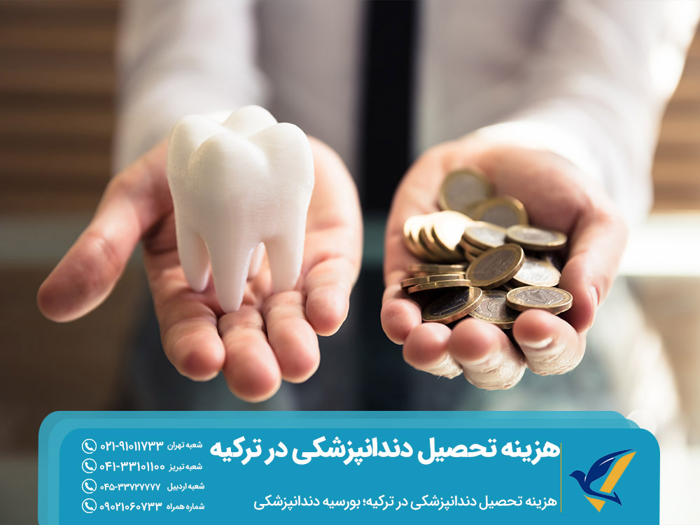 بورسیه دندانپزشکی ترکیه
