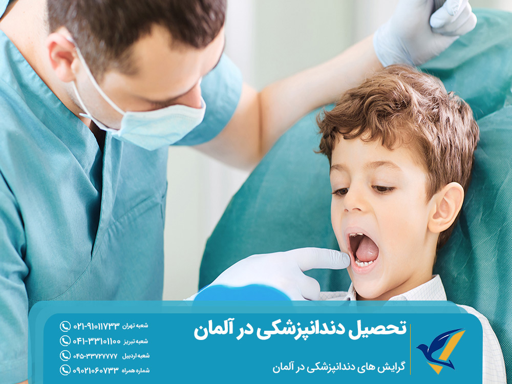 گرایش های رشته دندانپزشکی در آلمان