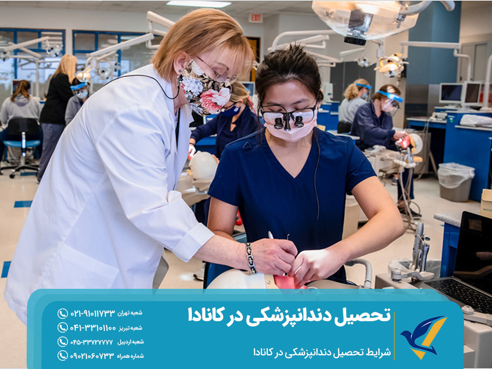 شرایط تحصیل دندانپزشکی در کانادا