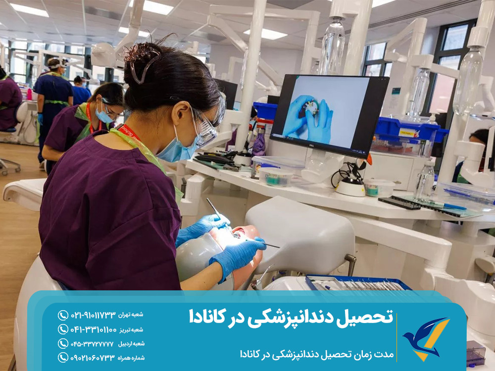مدت زمان تحصیل دندانپزشکی در کانادا