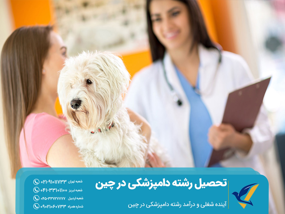 آینده شغلی و درآمد رشته دامپزشکی در چین