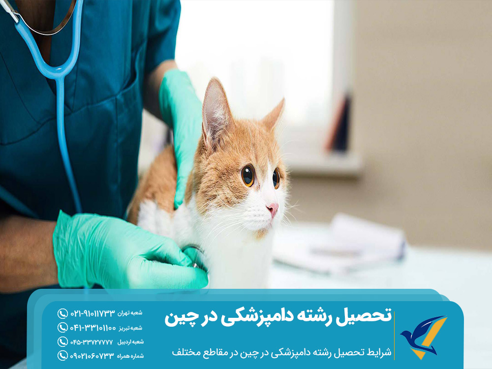 شرایط تحصیل دامپزشکی در چین در مقاطع مختلف