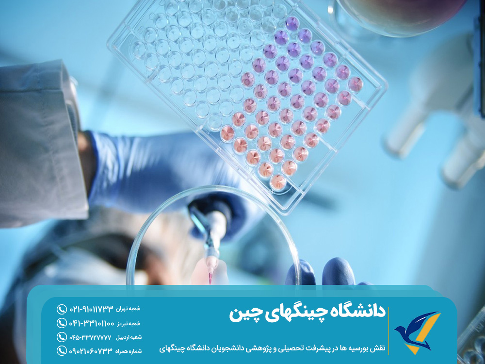 پیشرفت تحصیلی و تحقیقاتی دانشجویان دانشگاه چینگهای