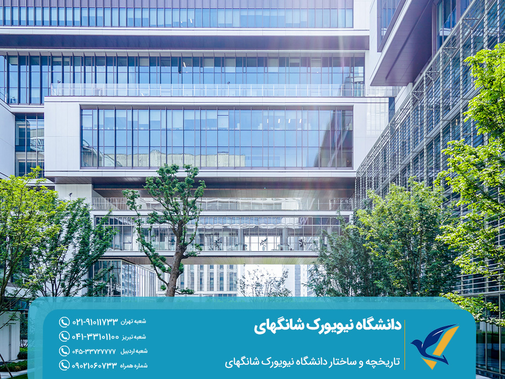 تاریخچه و ساختار دانشگاه نیویورک شانگهای