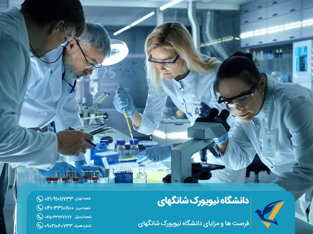 فرصت ‌ها و مزایای دانشگاه نیویورک شانگهای